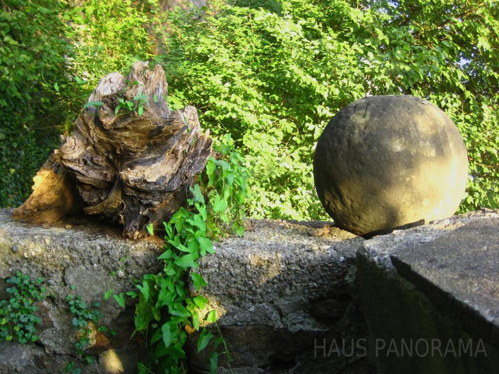 מלון פסאו Haus Panorama מראה חיצוני תמונה